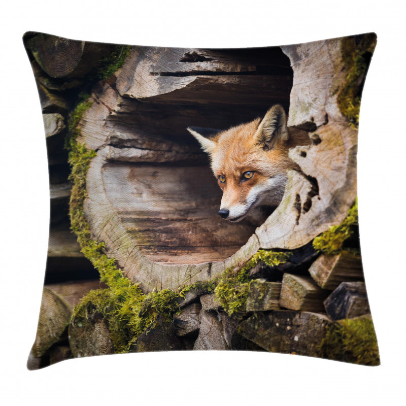 Nature Wild Fox Forest Pillow Cover