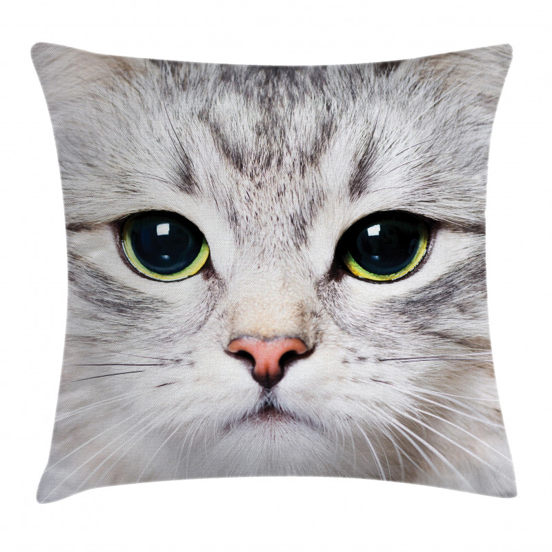 Face of a Domestic Kitty Pillow Cover