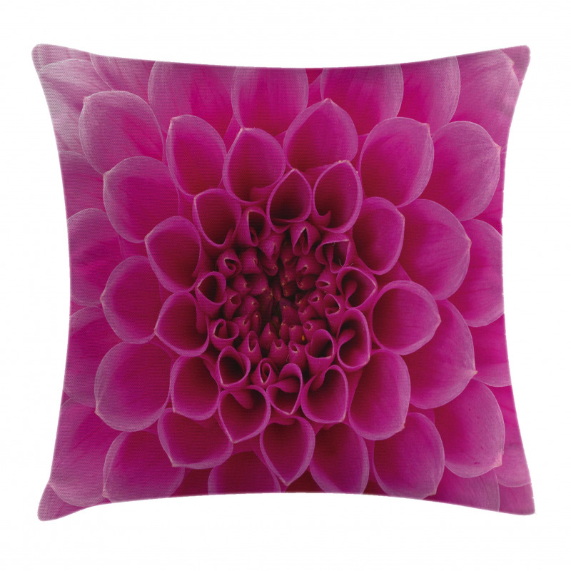 Fresh Bloom Petal Nature Pillow Cover