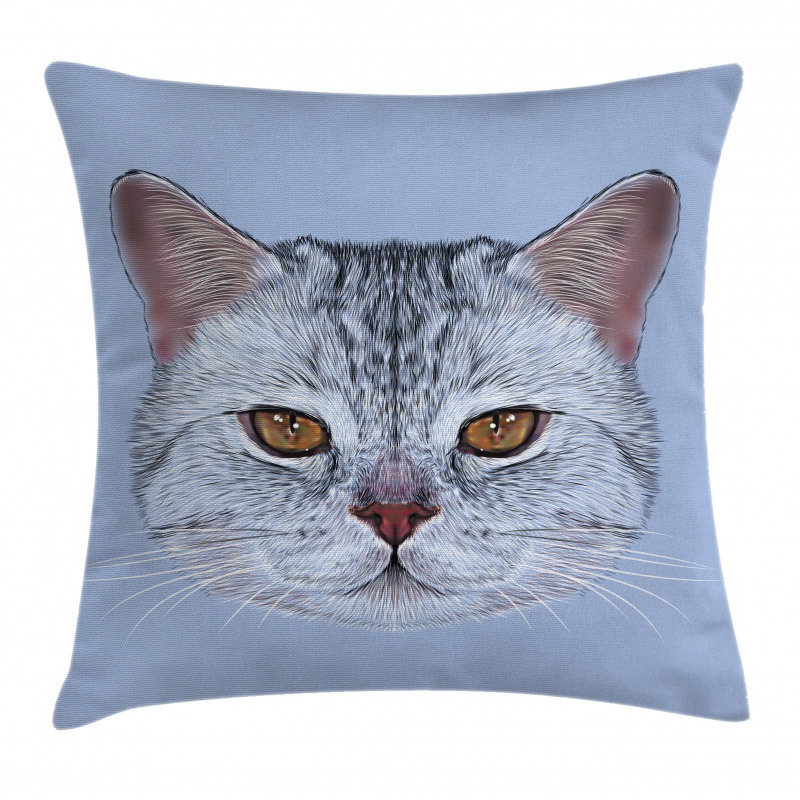 Scottish Hipster Kitty Pet Pillow Cover