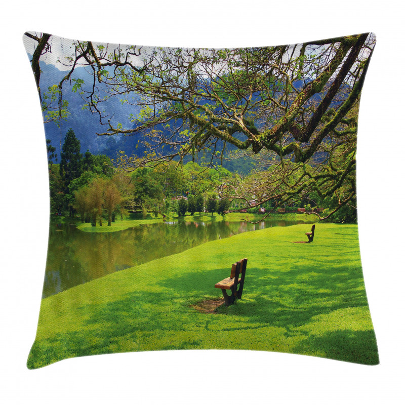 Panoramic Public Wiev Pillow Cover