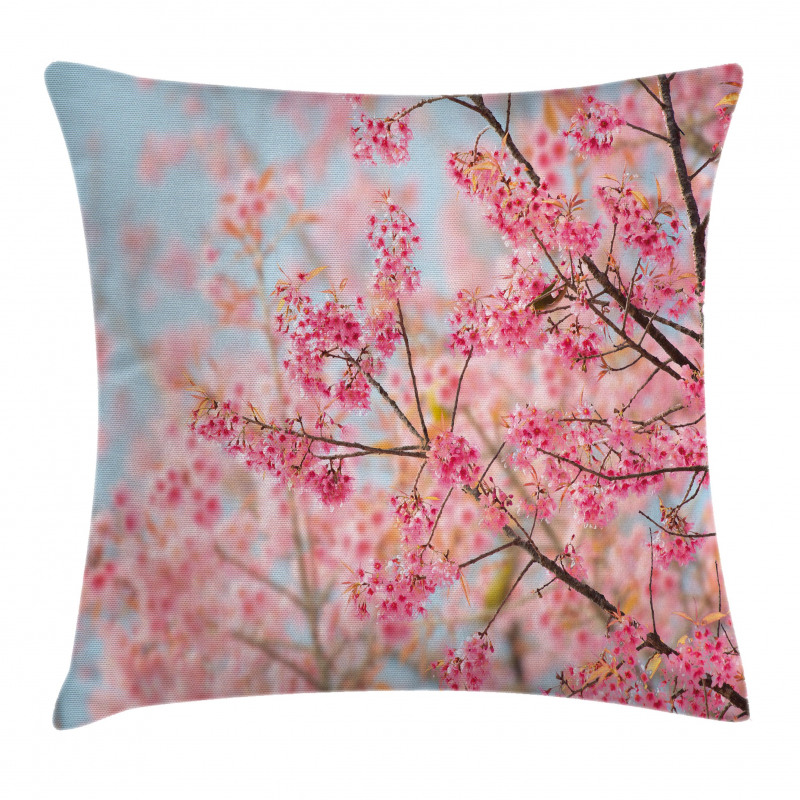 Japanese Sakura Cherry Pillow Cover