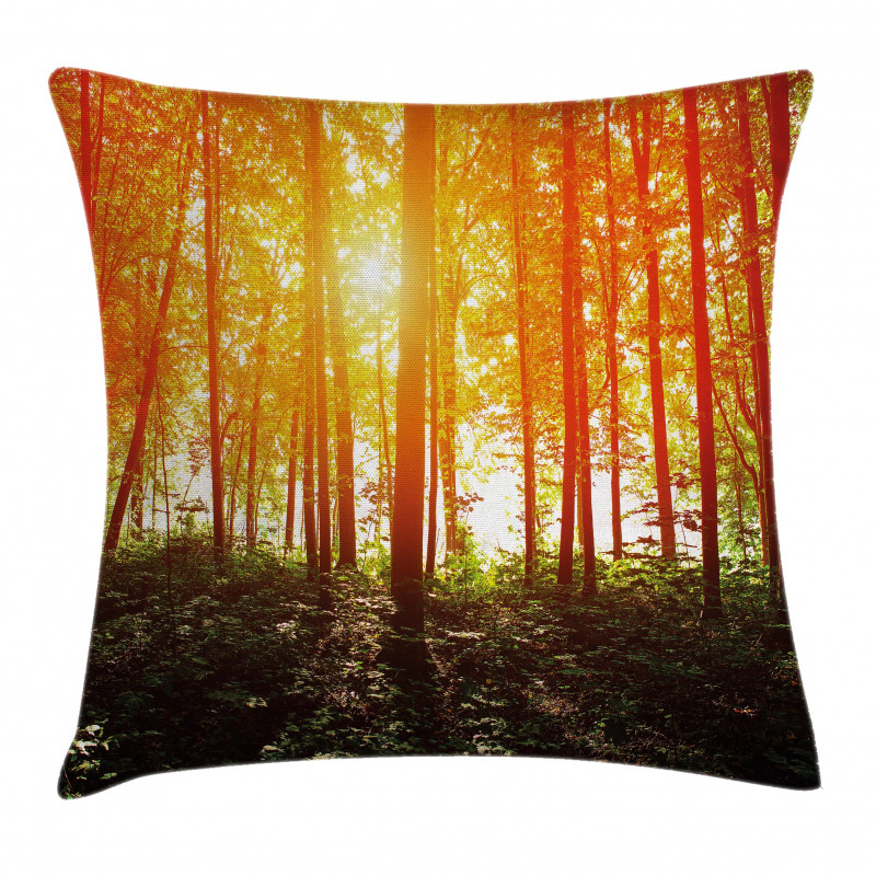 Foggy Forest Scenery Pillow Cover