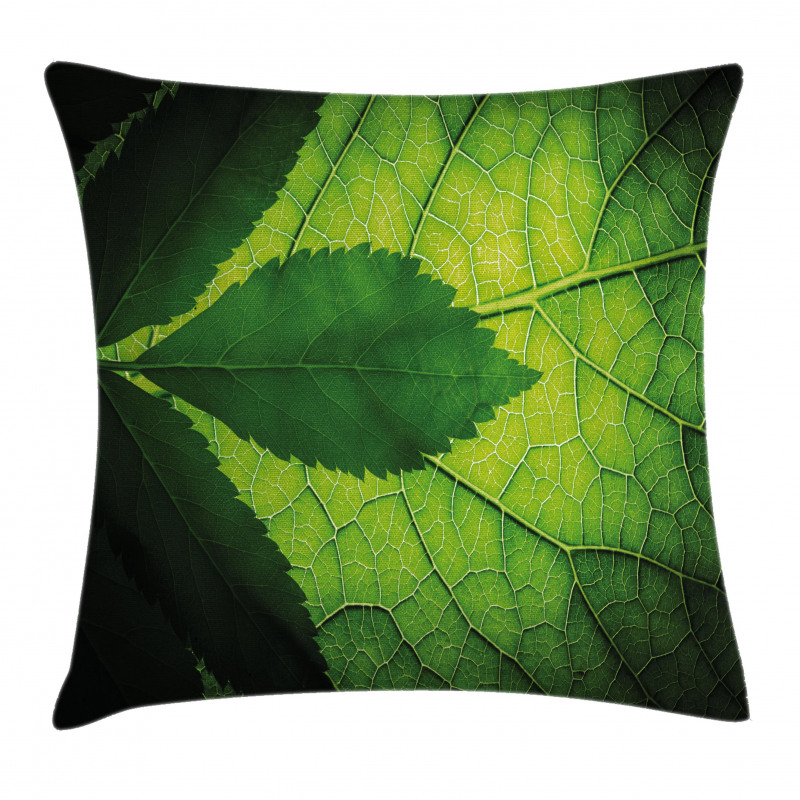 Brazilian Tree Leaf Eco Pillow Cover