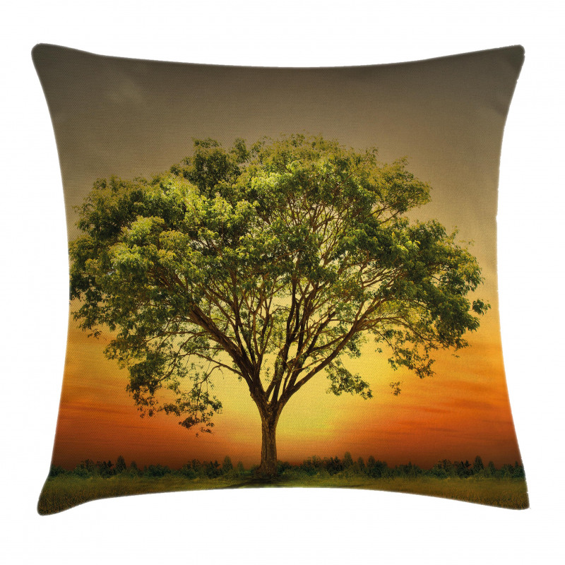 Sunset Scenery Valley Pillow Cover