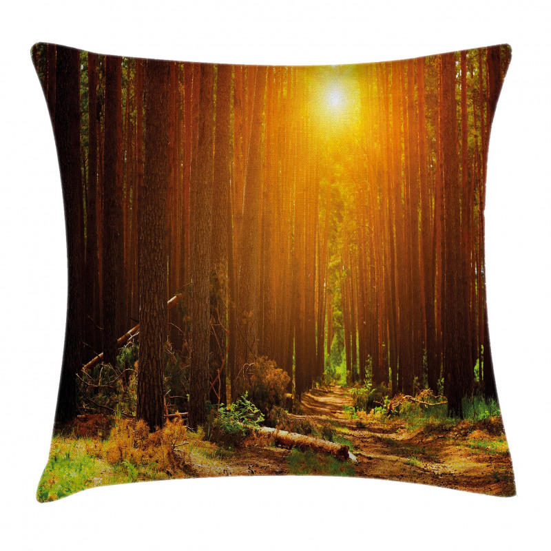 Sunset Dawn Sun Rise Pillow Cover