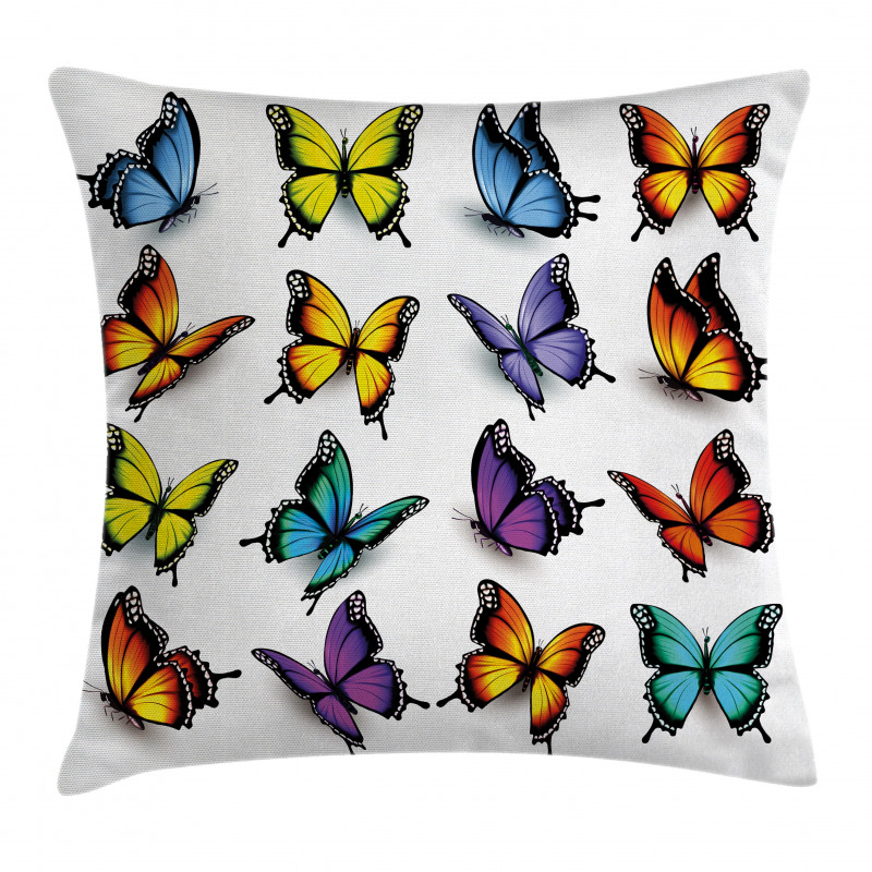 Colorful Wings Spring Pillow Cover