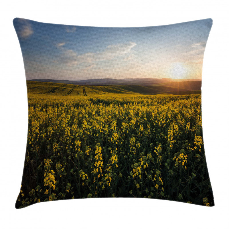 Sunset Flower Field Pillow Cover