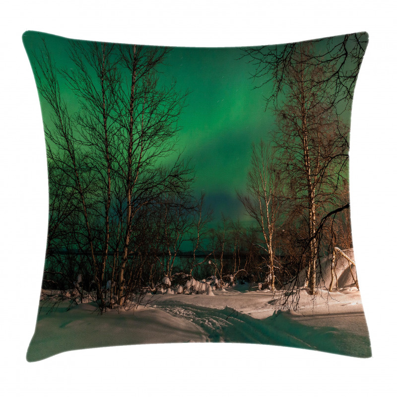 Snowy Frozen Road Pillow Cover