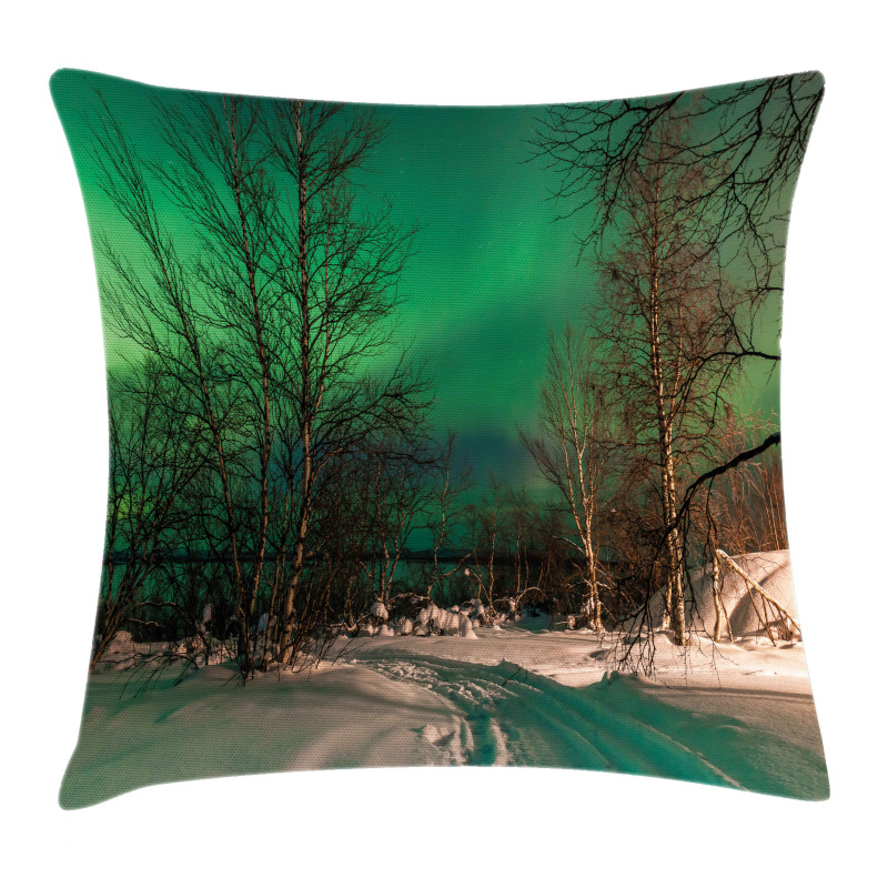 Snowy Frozen Road Pillow Cover