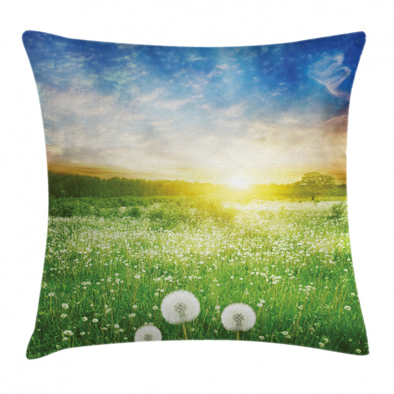 Dandelion Flower Field Pillow Cover