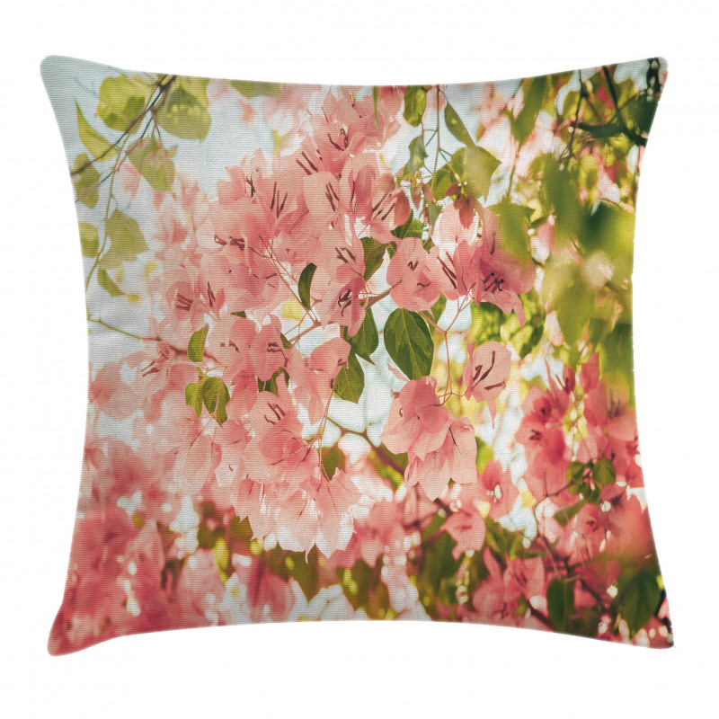 Sunny Summer Blossoms Pillow Cover