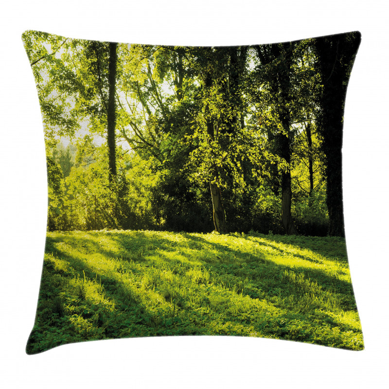 Rising Sun Beams Forest Pillow Cover