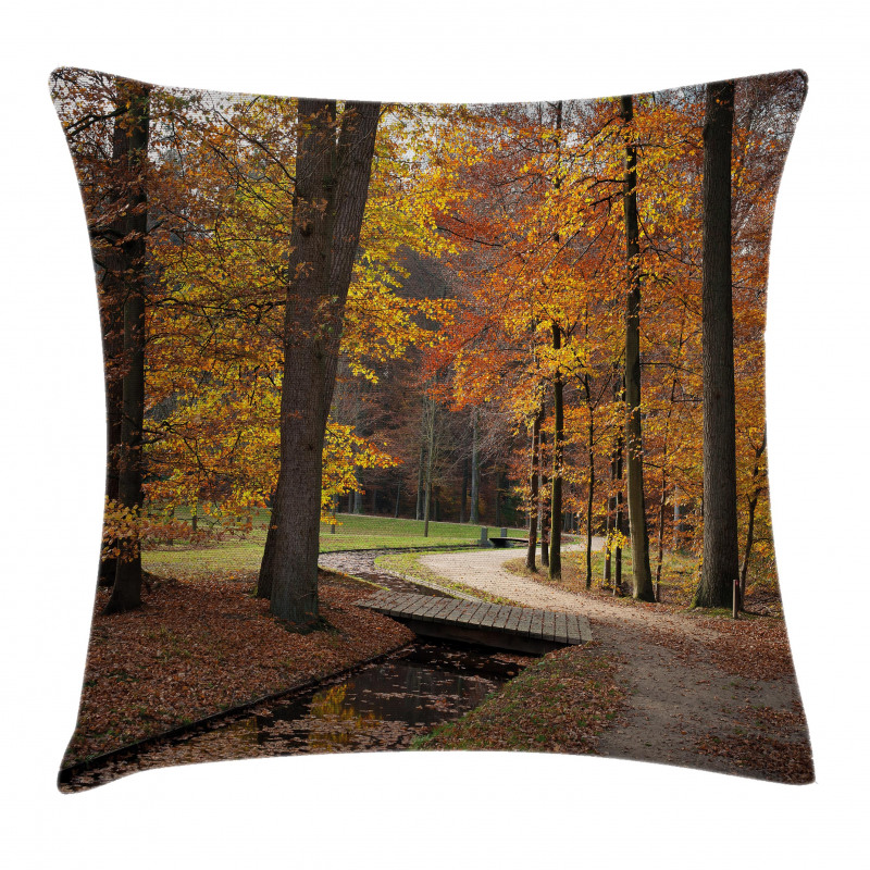 Gloomy Day Forest Path Pillow Cover