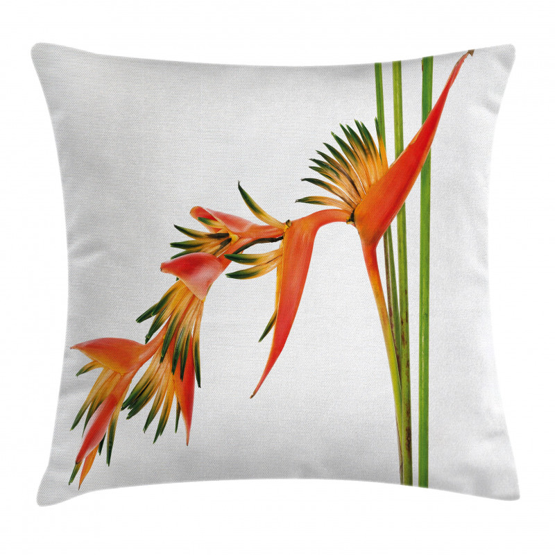 Exotic Flower Branch Pillow Cover