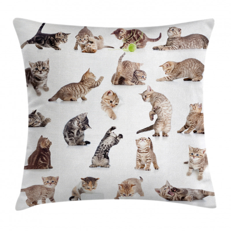 Funny Playful Cats Image Pillow Cover
