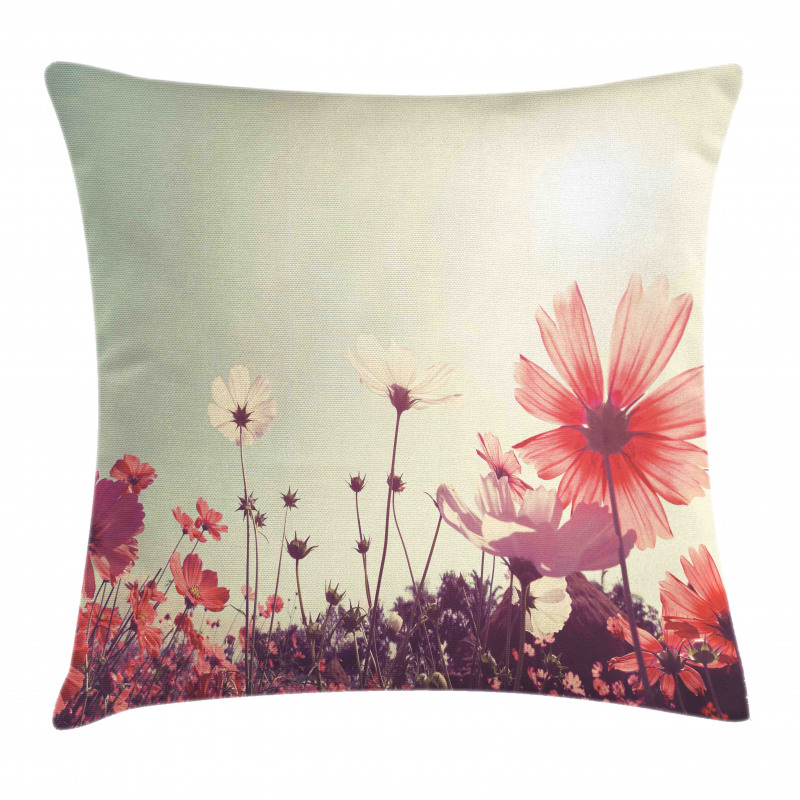 Vintage Cosmos Plant Sky Pillow Cover