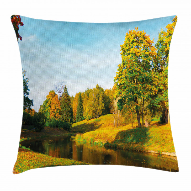 Natural Forest Park Pillow Cover