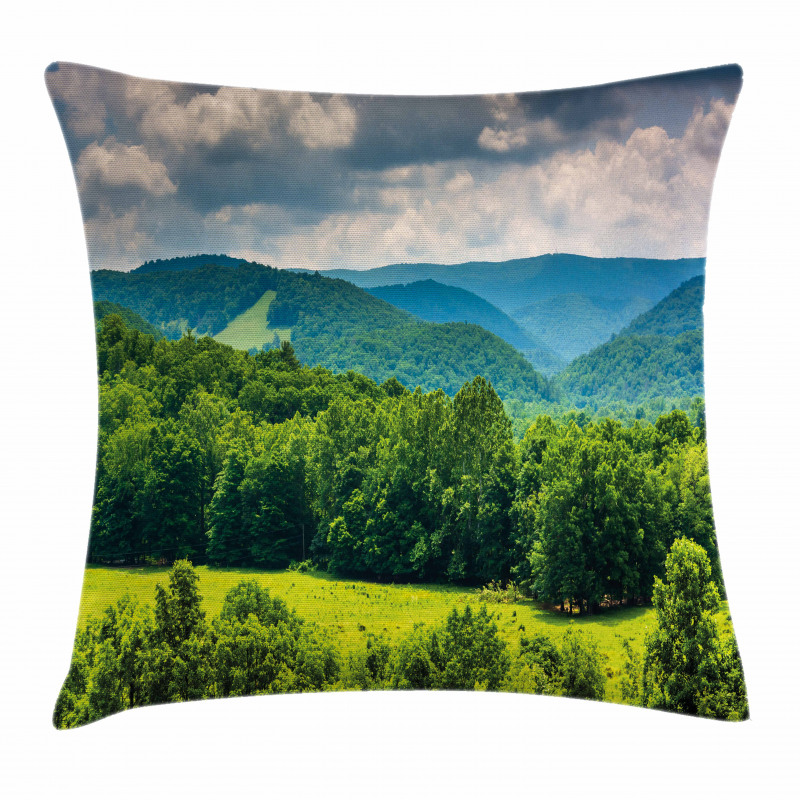 Landscape of Mountains Pillow Cover
