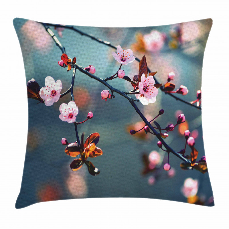 Blooming Sakura Flowers Pillow Cover