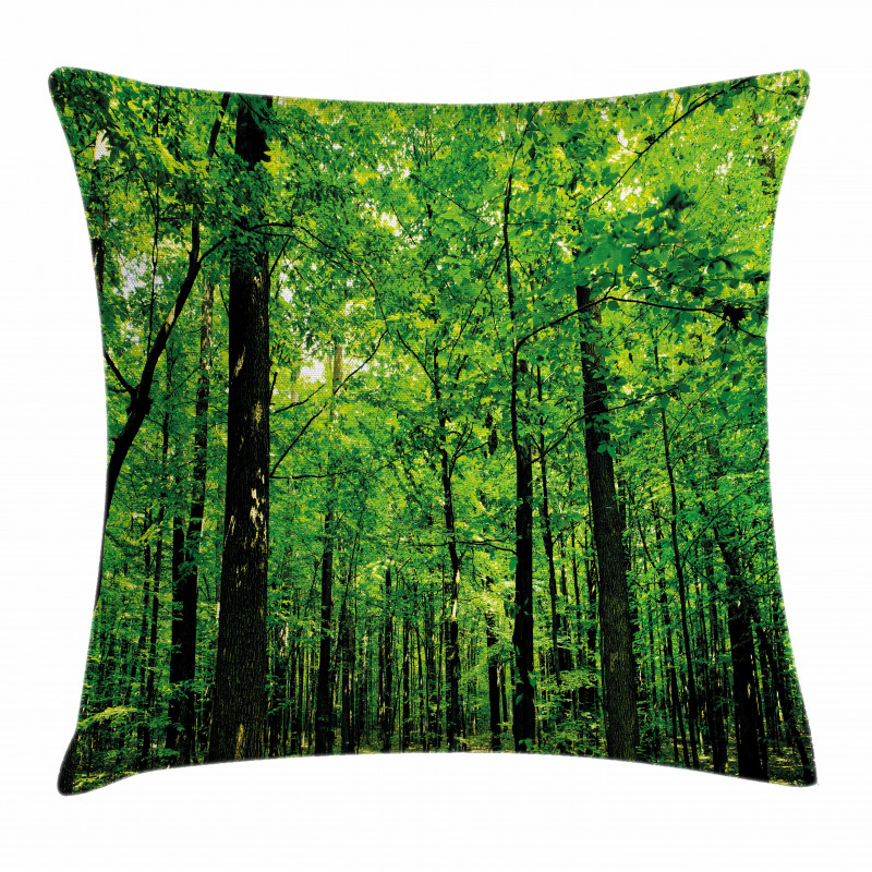 Woodland Tree Forest Sun Pillow Cover