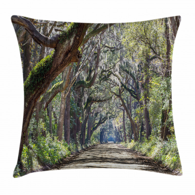 Road in Forest Carolina Pillow Cover