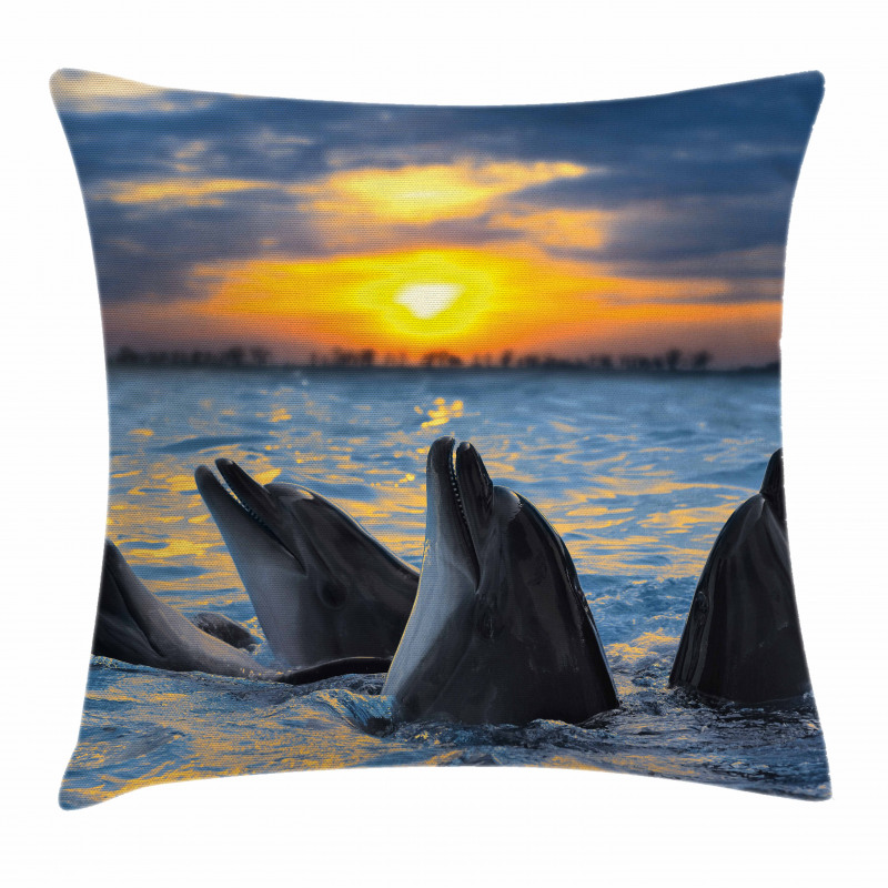 Bottle Nosed Dolphins Pillow Cover
