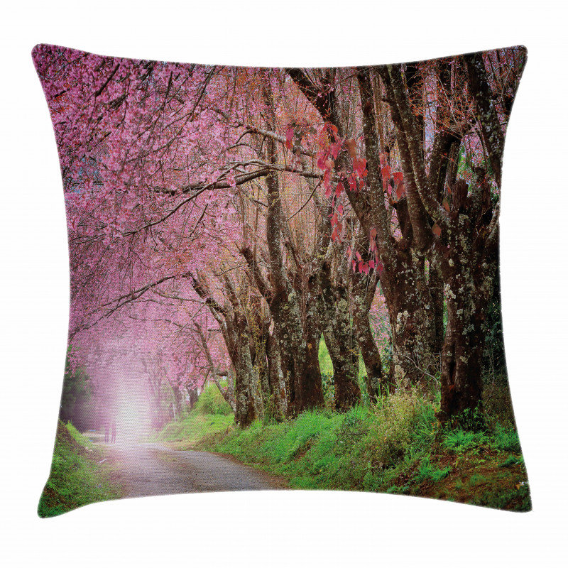 Park in Chiang Mai Pillow Cover