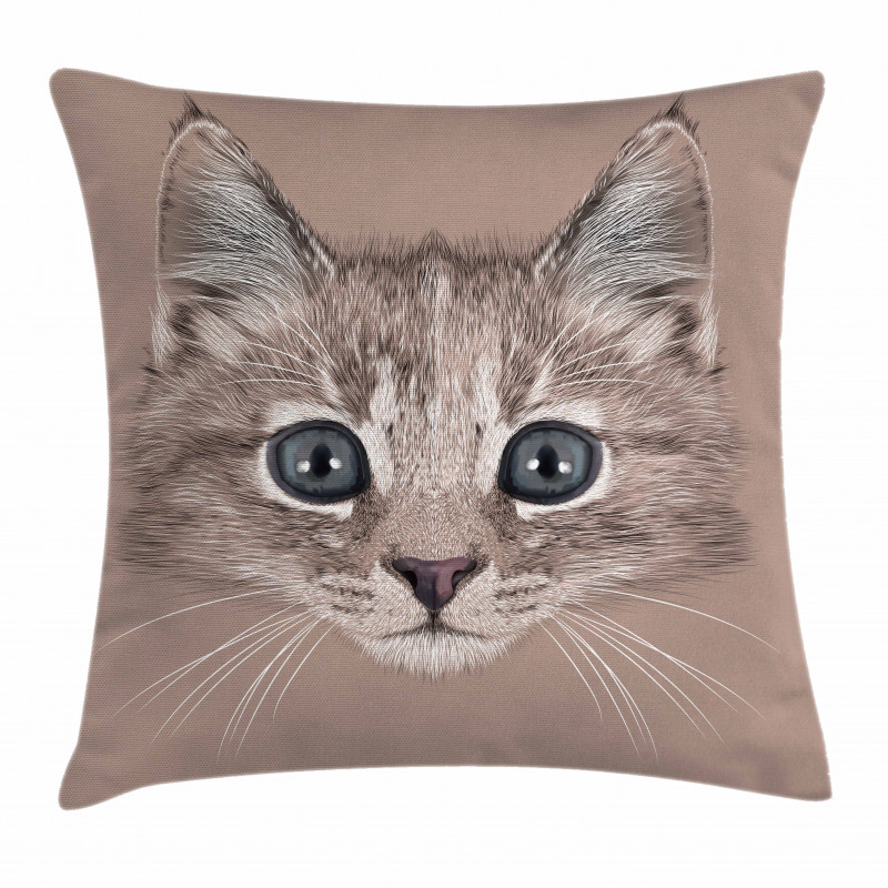 Domestic Cat Face Pillow Cover