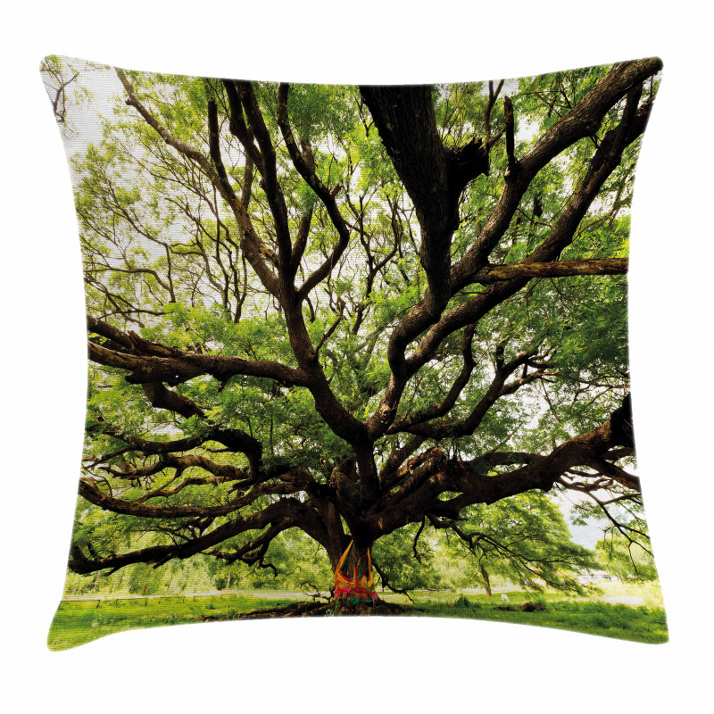Majestic Tree Thailand Pillow Cover