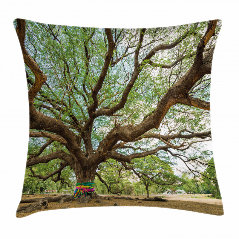 Big Rain Tree Thailand Pillow Cover