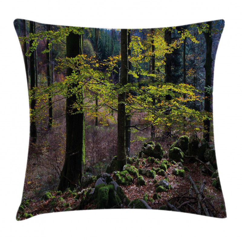 Trees Autumn Wilderness Pillow Cover