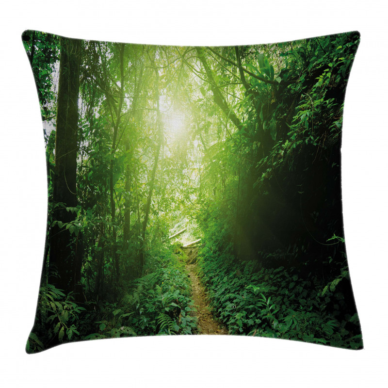 Way in Jungle of Malaysia Pillow Cover