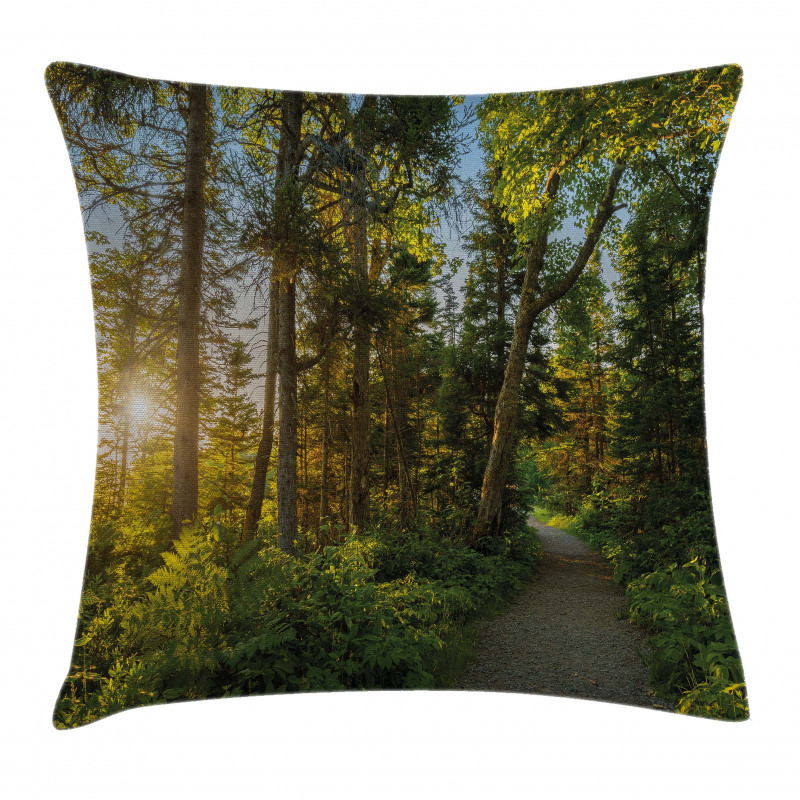 National Park Trees Path Pillow Cover