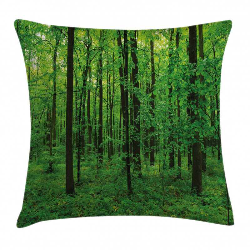 Spring Forest Bush Rural Pillow Cover