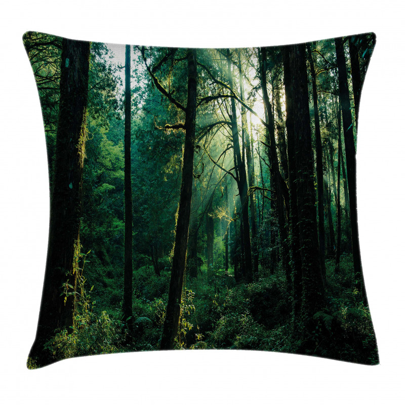 Sunset in Woods Trees Pillow Cover