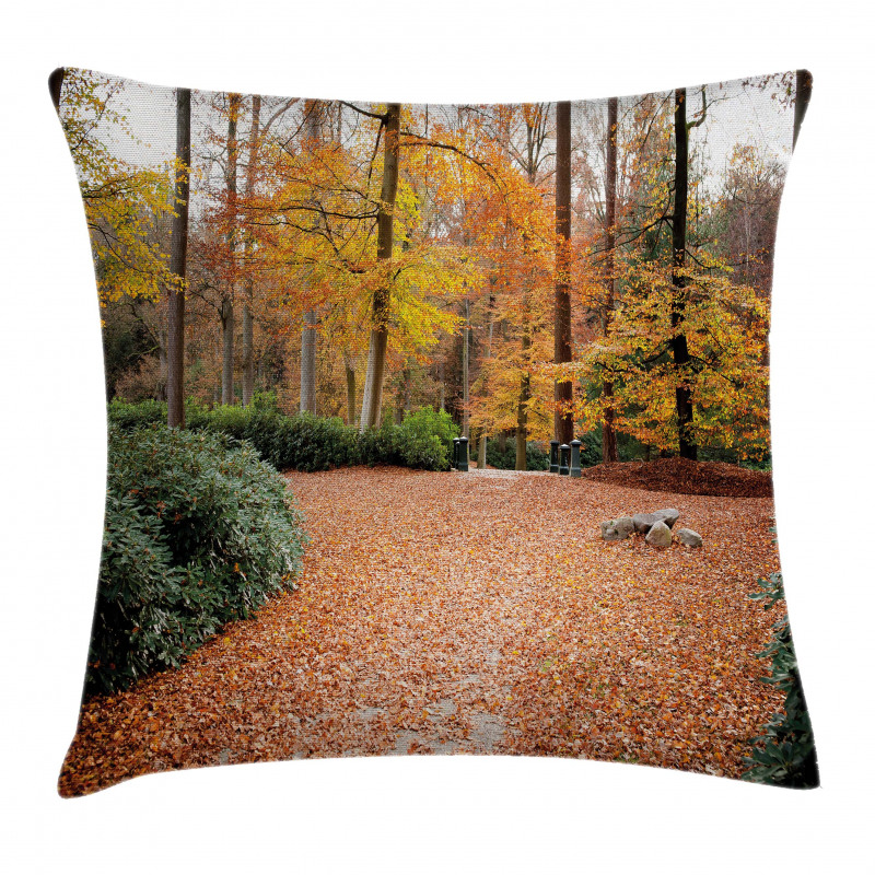 Autumn Forest Trees Fall Pillow Cover