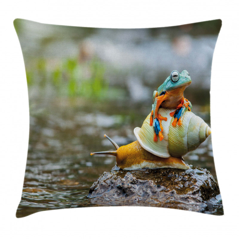 Frog Above the Snail Pillow Cover