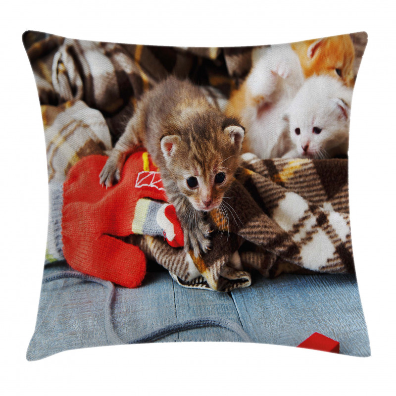 Kittens Mittens Baby Toys Pillow Cover