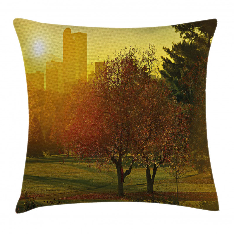 Sunset over City Park Pillow Cover