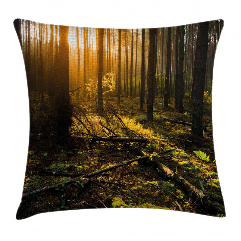 Misty Morning Sun Rays Pillow Cover