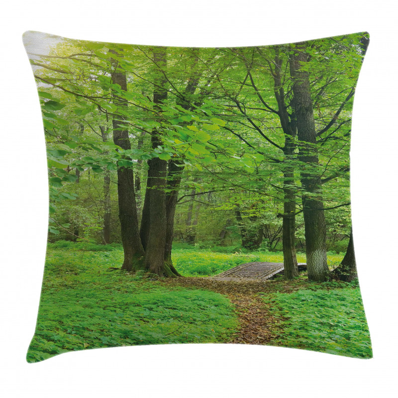 Summer Trees Tranquil Pillow Cover