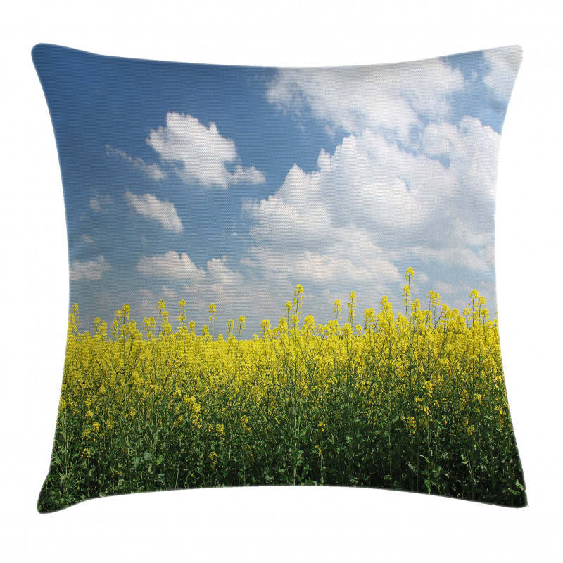Rapeseed Field Germany Pillow Cover