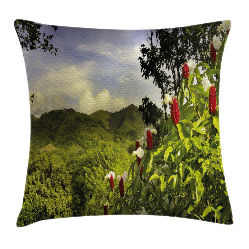 Rural Scenery Costa Rica Pillow Cover