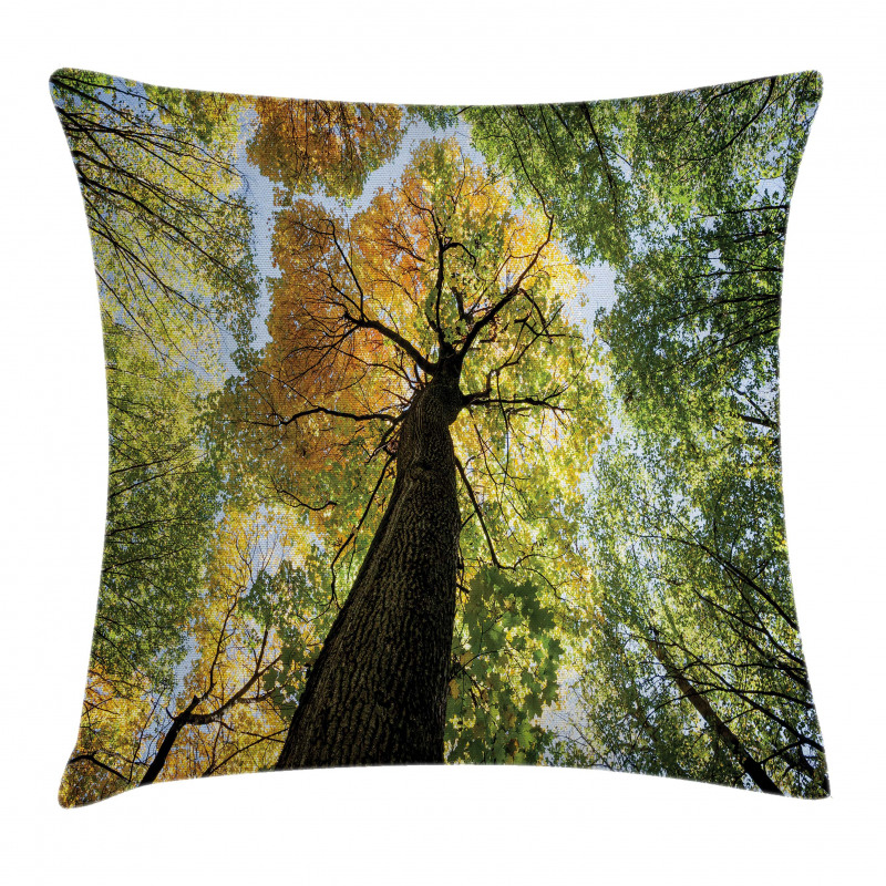 Forest Autumn Growth Eco Pillow Cover