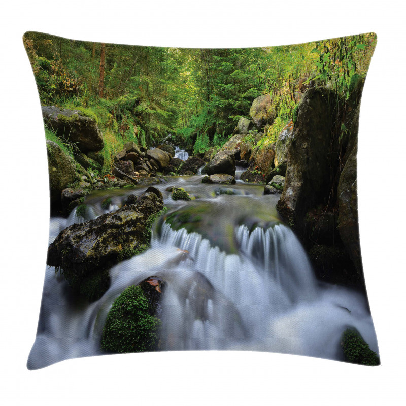 National Park Cascade Pillow Cover