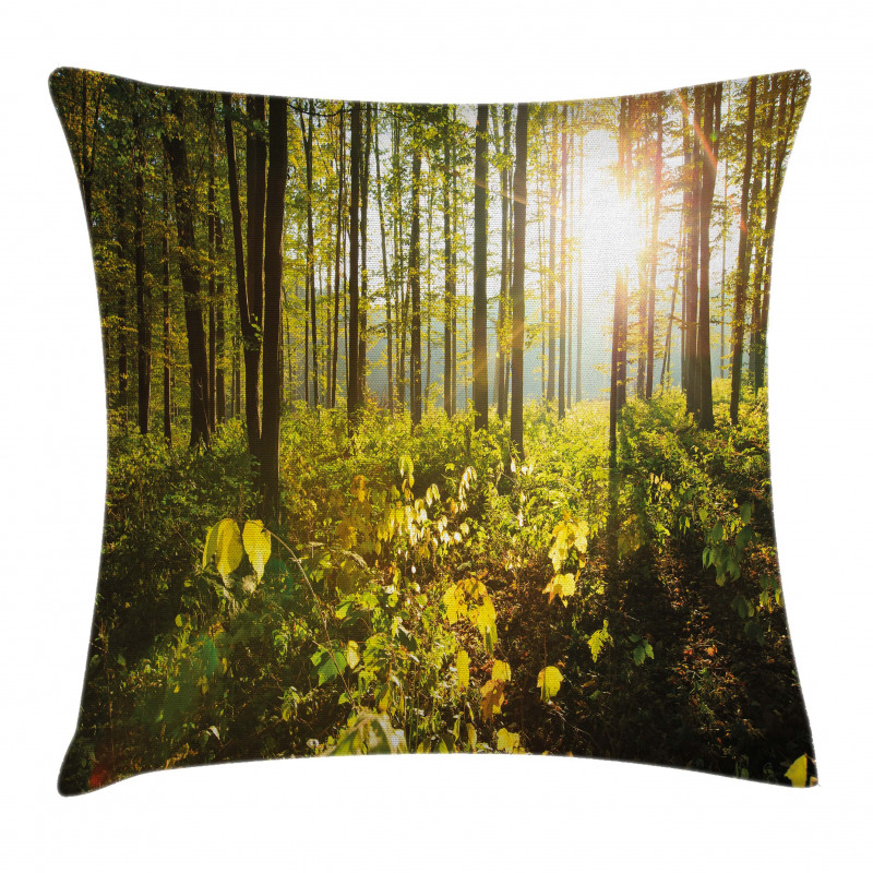 Sun Rays Woods Foliage Pillow Cover