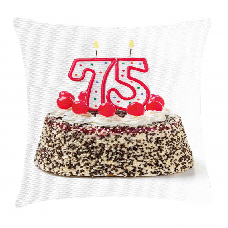 Cake 75 Pillow Cover