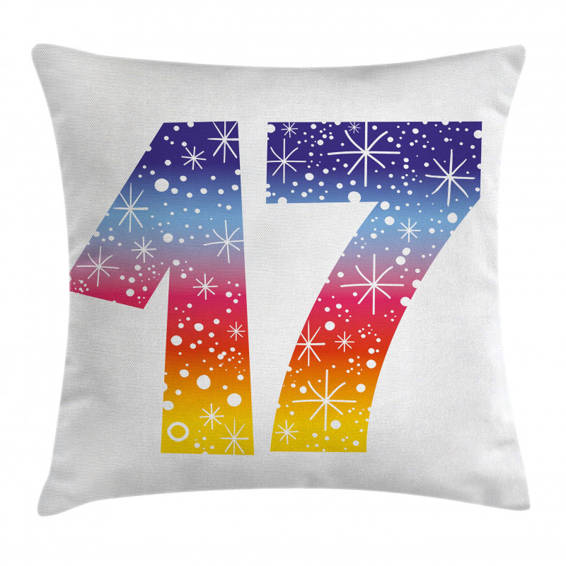 17 Party Pillow Cover
