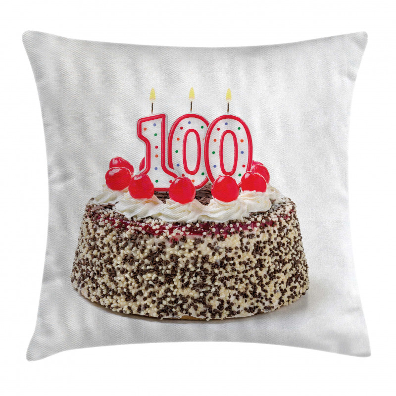 Cake and Candles Pillow Cover